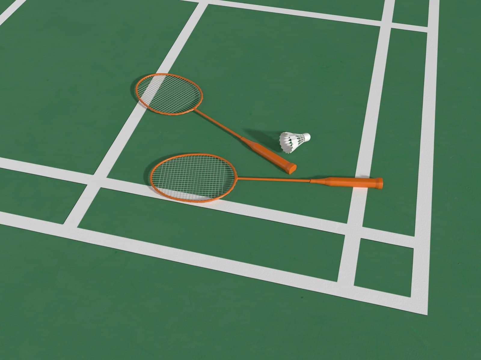 Dm cau long va pickleball